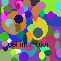 oel im motor